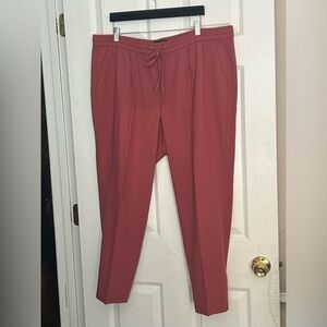 Banana Republic Salmon color and Ankle pants with drawstring waist.